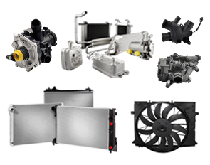 Engine Cooling System